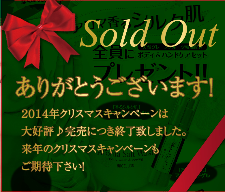 2014年クリスマスキャンペーンセット　完売しました！